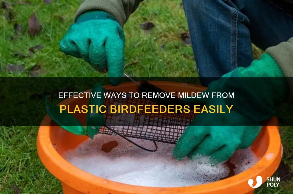 how to get mildew off plastic birdfeeders