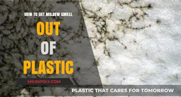 Effective Ways to Eliminate Mildew Smell from Plastic Items
