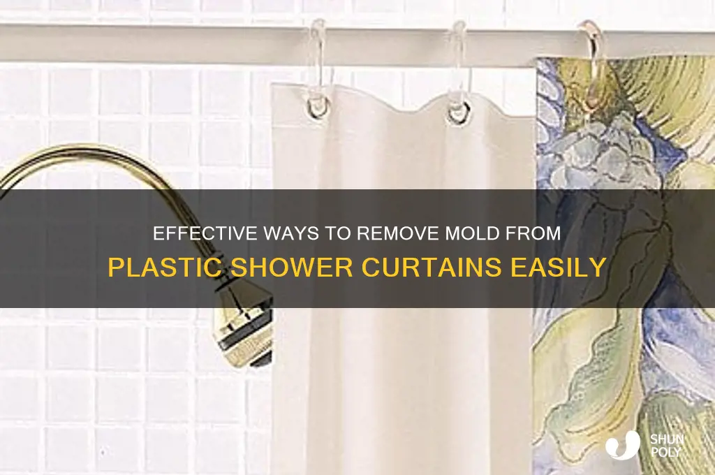 how to get mold off a plastic shower curtain