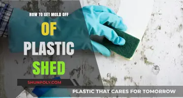 Effective Ways to Remove Mold from Your Plastic Shed Easily