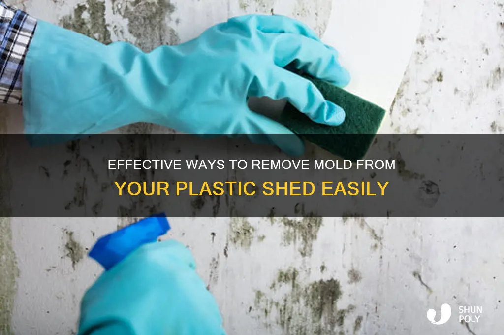 how to get mold off of plastic shed
