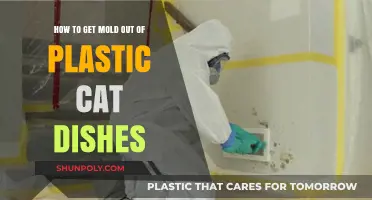 Effective Ways to Remove Mold from Plastic Cat Dishes Easily