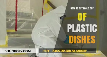 Effective Ways to Remove Mold from Plastic Dishes and Utensils