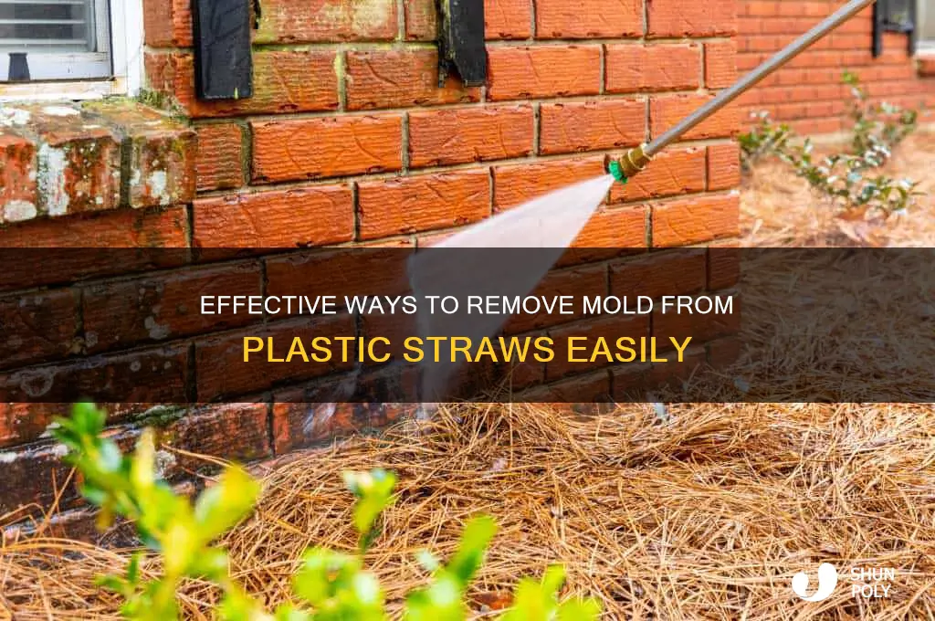 how to get mold out of plastic straw