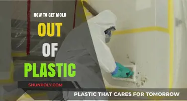 Effective Methods to Remove Mold from Plastic Surfaces Easily