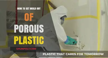Effective Ways to Remove Mold from Porous Plastic Surfaces