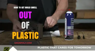 Effective Ways to Eliminate Mold Smell from Plastic Items