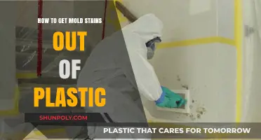 Effective Ways to Remove Mold Stains from Plastic Surfaces Easily