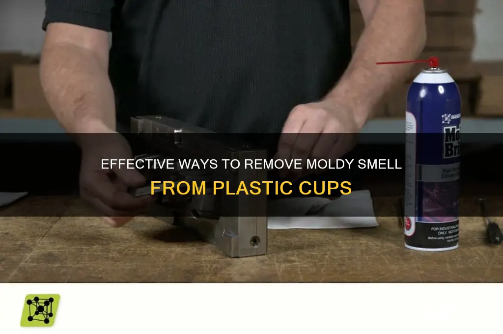 how to get moldy smell out of plastic cup