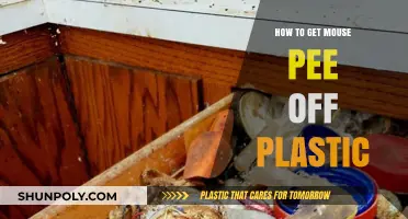 Effective Ways to Remove Mouse Urine Stains from Plastic Surfaces