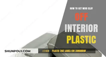 Effective Tips to Remove Mud Clay from Interior Plastic Surfaces