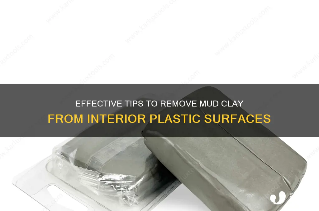 how to get mud clay off interior plastic