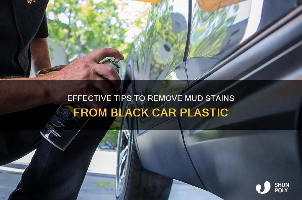 how to get mud stains off black plastic on car