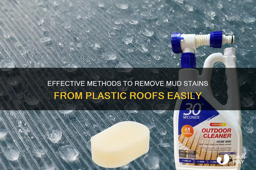 how to get mud stains off plastic roof