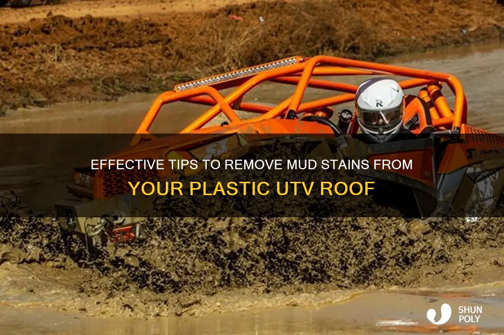 how to get mud stains off plastic utv roof