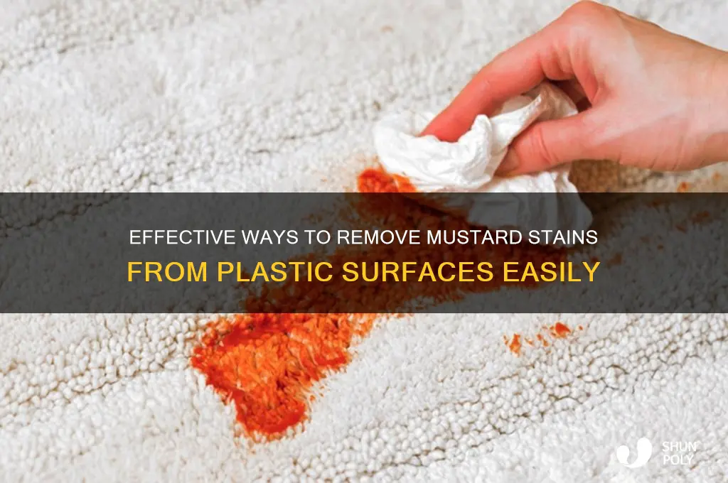 how to get mustard stains out of plastic