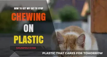 Preventing Plastic Chewing: Tips to Keep Your Cat Safe and Engaged