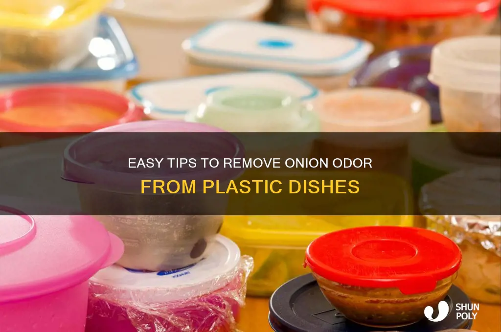 how to get onion order out of a plastic dish