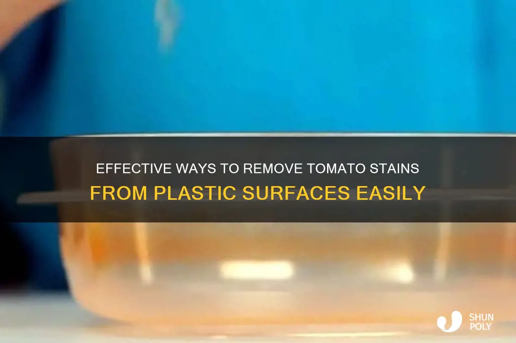 how to get out tomato stains from plastic
