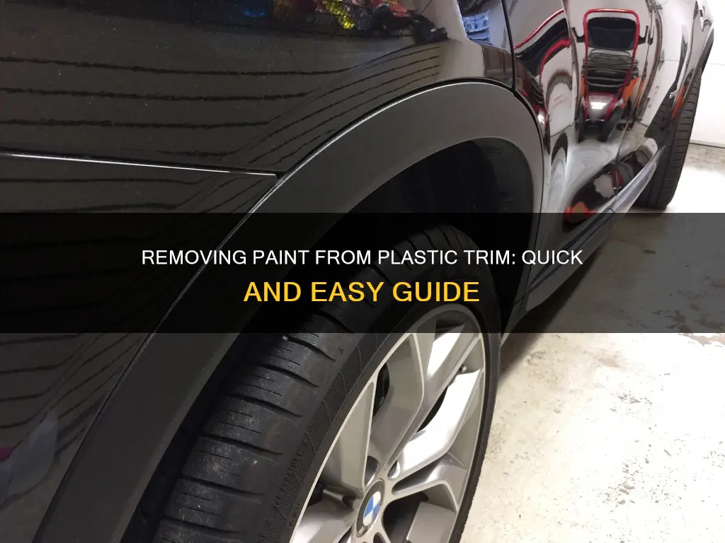 how to get paint off of plastic trim
