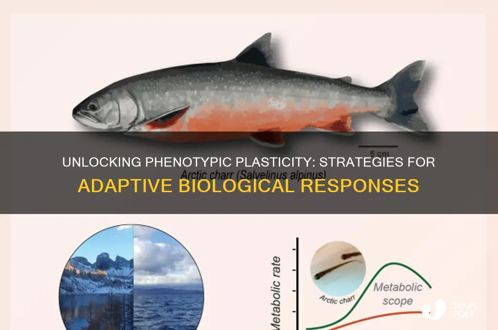 how to get phenotypic plasticity