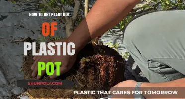 Easy Steps to Safely Remove Plants from Plastic Pots