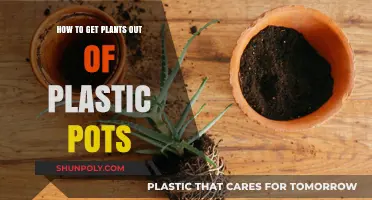 Easy Steps to Safely Remove Plants from Plastic Pots