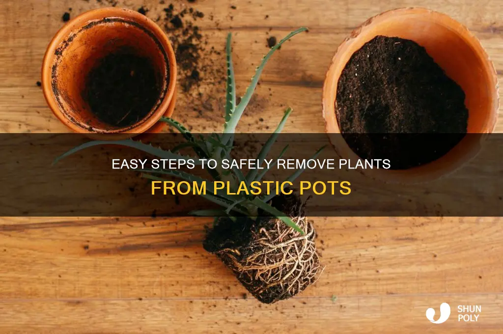 how to get plants out of plastic pots