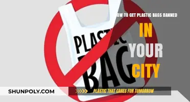 Ban Plastic Bags: A Step-by-Step Guide for Your City