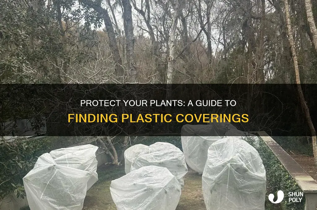 how to get plastic coverings for plants