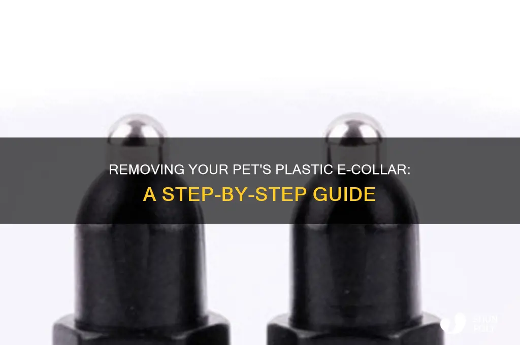 how to get plastic e collar off
