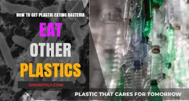 Unlocking Plastic-Eating Bacteria's Potential to Tackle Diverse Plastic Waste