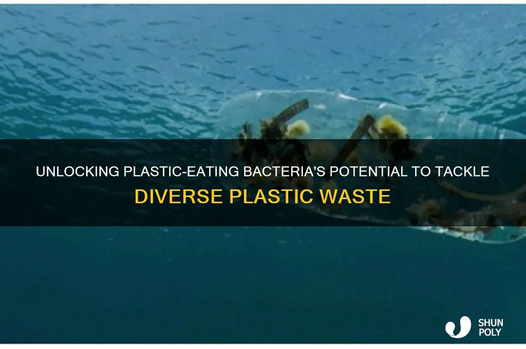 how to get plastic eating bacteria eat other plastics