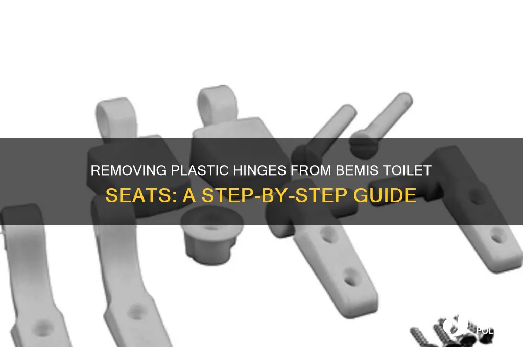 how to get plastic hinges off bemis toilet bowl