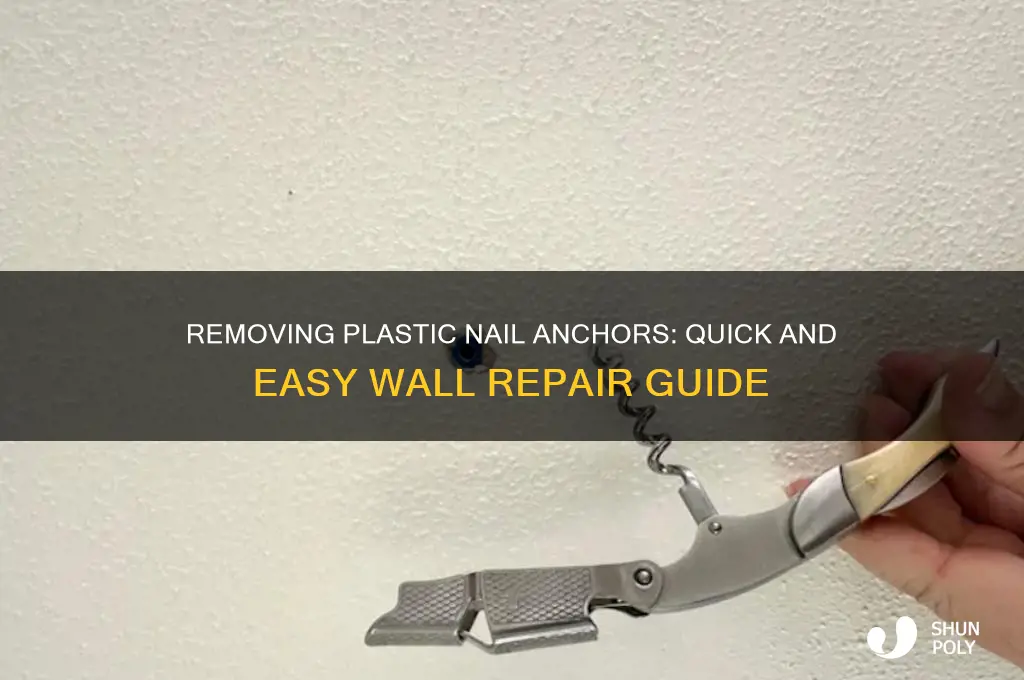 how to get plastic nail anchors out of wall