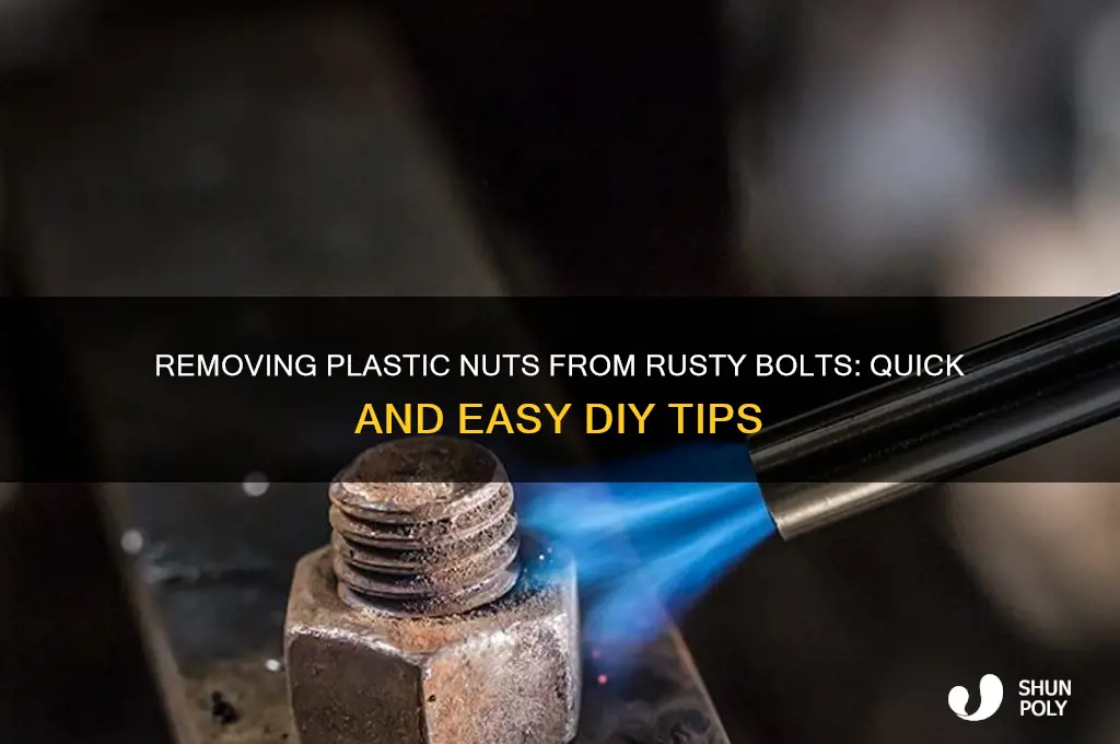 how to get plastic nut off rusty bolr