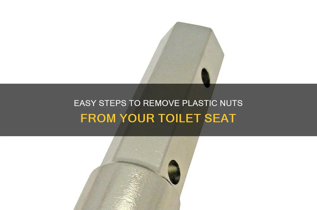 how to get plastic nuts off toilet seat
