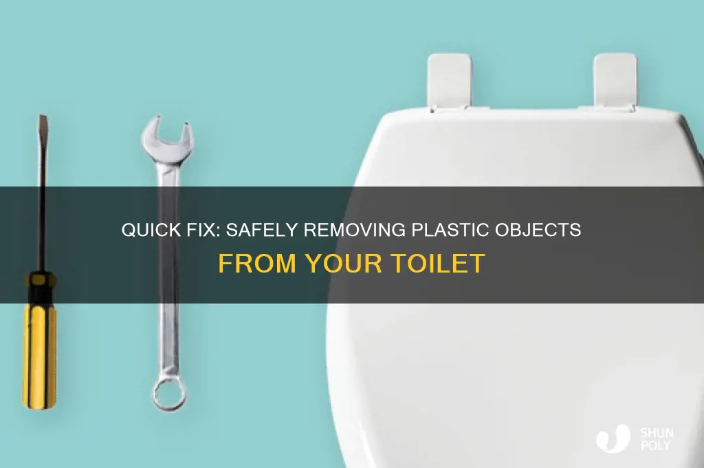 how to get plastic object out of toilet