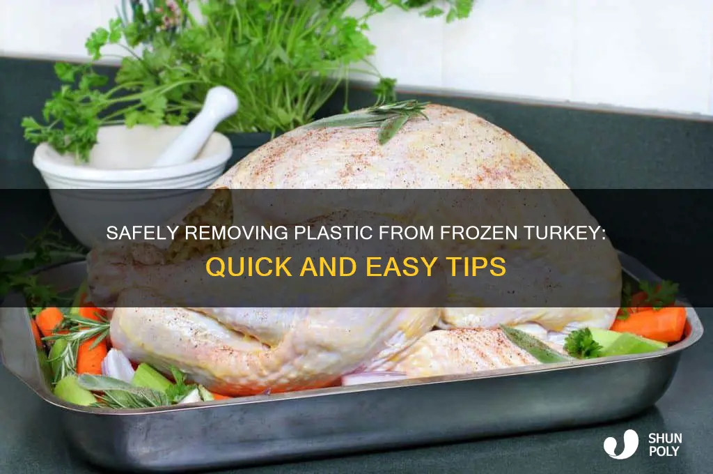 how to get plastic out of frozen turkey