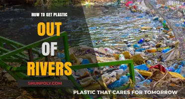 Effective Strategies to Remove Plastic Pollution from Rivers and Waterways