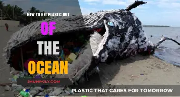 Innovative Solutions to Remove Plastic Pollution from Our Oceans