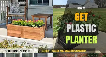 Easy Ways to Find and Choose the Perfect Plastic Planter