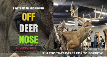 Removing Plastic Pumpkins from Deer Noses: A Step-by-Step Guide