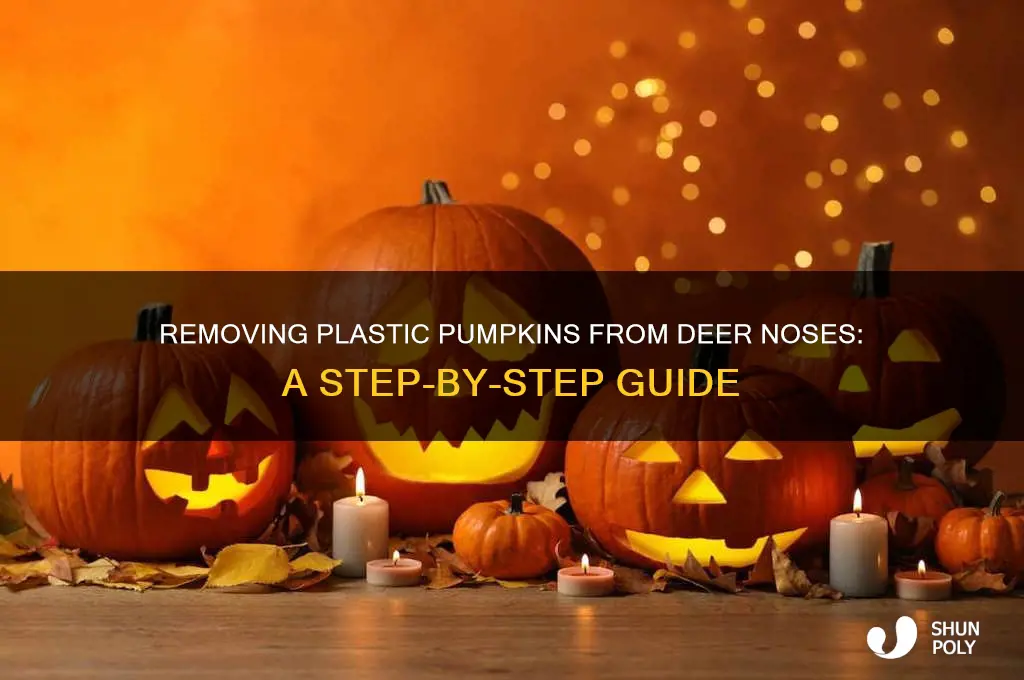 how to get plastic pumpkin off deer nose