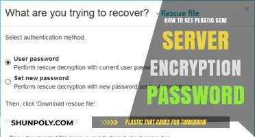 Securing Your Plastic SCM Server: Retrieving Encryption Passwords Safely