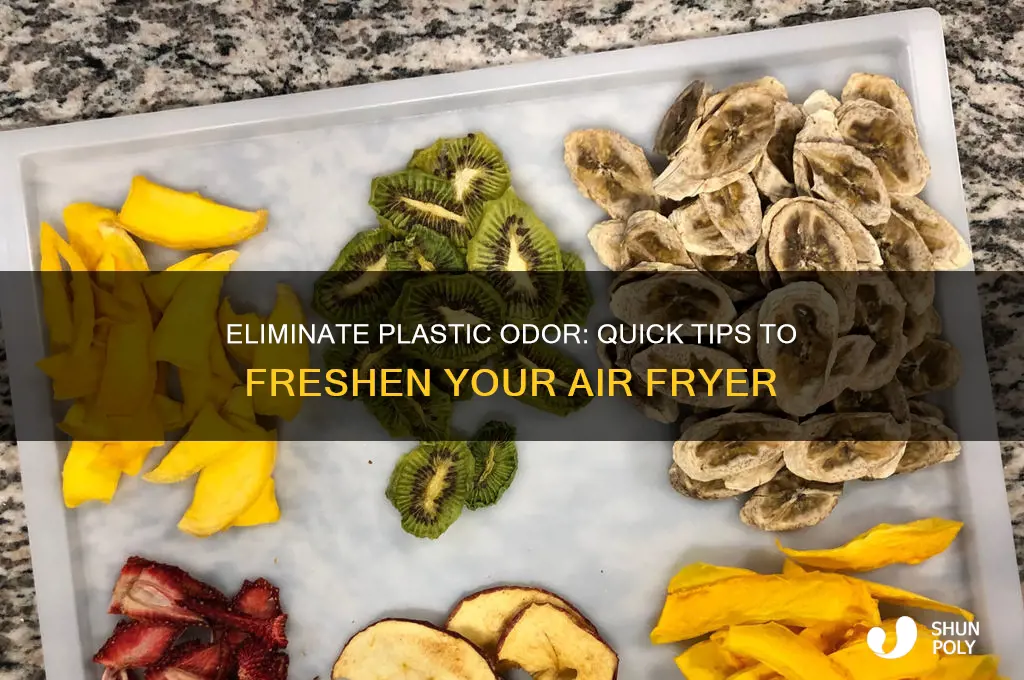 how to get plastic smell out of air fryer