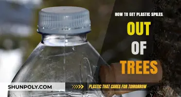 Removing Plastic Spiles from Trees: A Step-by-Step Eco-Friendly Guide