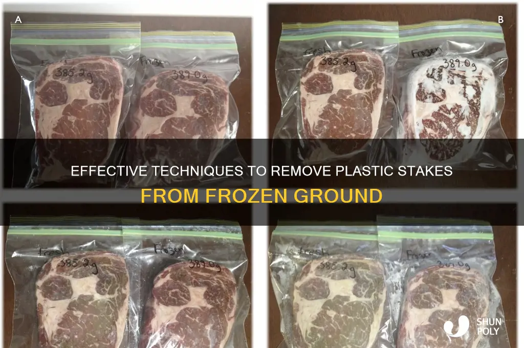 how to get plastic staked out of frozen ground