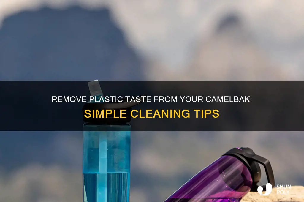 how to get plastic taste out of camelback