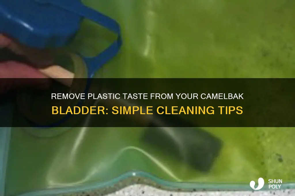how to get plastic taste out of camelbak bladder